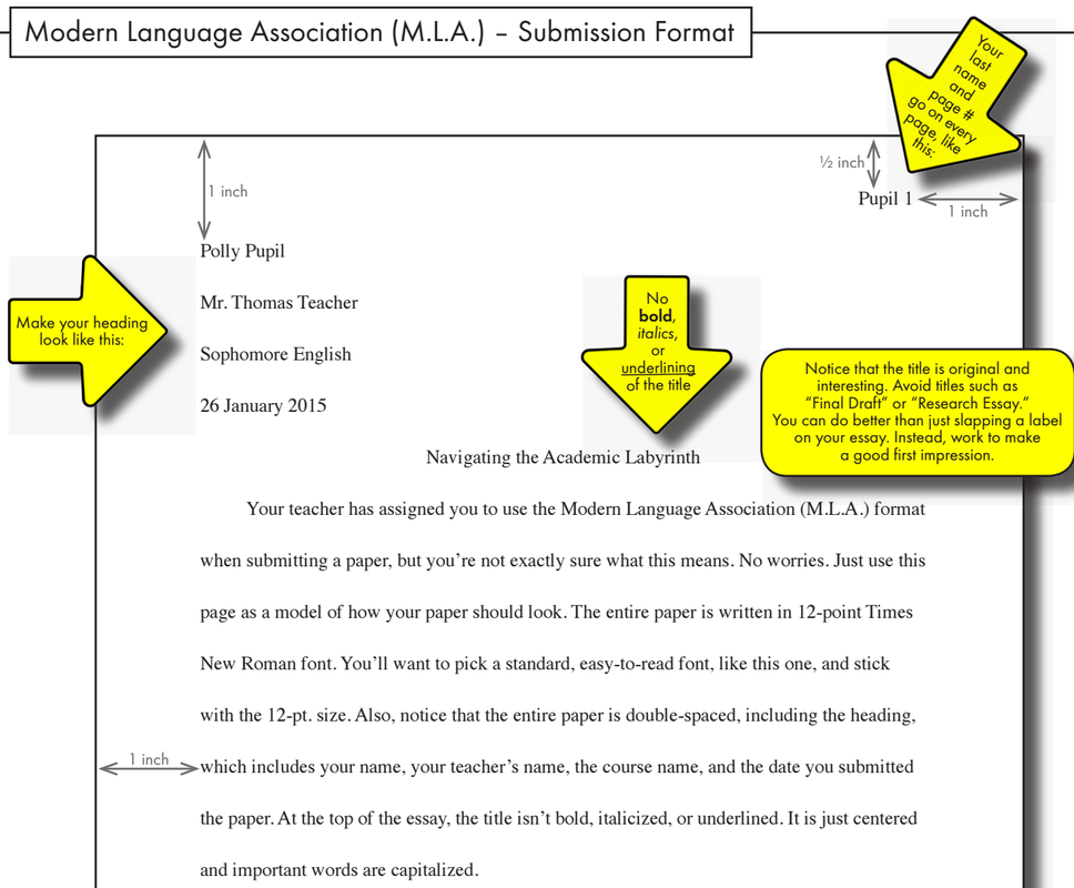 how to write an essay with mla format